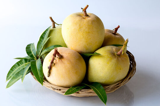 R2E2 mangoes fruit in basket at the shop and supermarket.organic fruit and vitamin healthy.