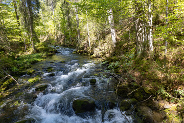 Wunderschöner Gebirgsfluss in den Alpen mit Panorama und kleinen Wasserfällen