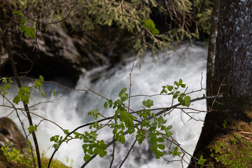 Wunderschöner Gebirgsfluss in den Alpen mit Panorama und kleinen Wasserfällen