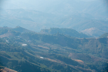 Fototapeta premium Doi Pha Tang Viewpoint, a tourist attraction in Thailand.