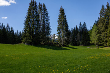 Fototapeta na wymiar Wunderschöne Landschaft in den Alpen in Österreich mit grüner Natur