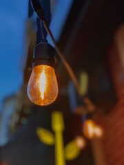 Restaurant light bulb