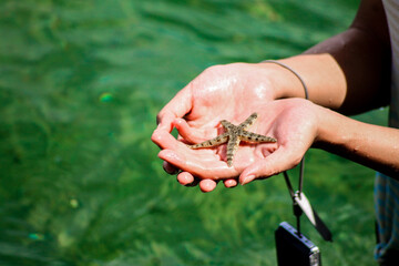 Close up of hands cradling a brown starfish against a turquoise sea water