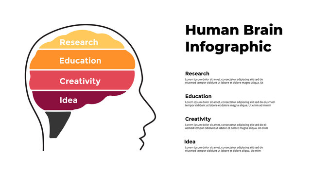 Human Brain Infographic. Generating New Ideas, Research. 4 Options Banner Chart. Education Concept. Vector Slide Template. Creative Illustration. 