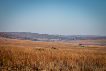 Landscape picture of the Waterberg.