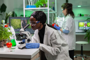 Biologist researcher examining organic leaf slide for medical expertise under microscope. Chemist...