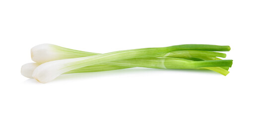 Green onion isolated on the white background - obrazy, fototapety, plakaty