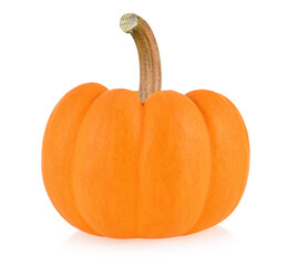 pumpkin isolated on a white background. Fancy pumpkin clipping path.