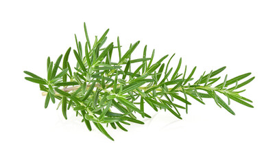 Rosemary isolated. Rosemary on white.Full depth of field.