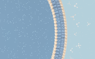 Cell Membrane and Molecules, 3d rendering.
