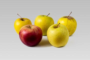 Yellow apples and one red apple on a light background