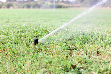Naklejka premium Watering green grass with sprinkler system during drought