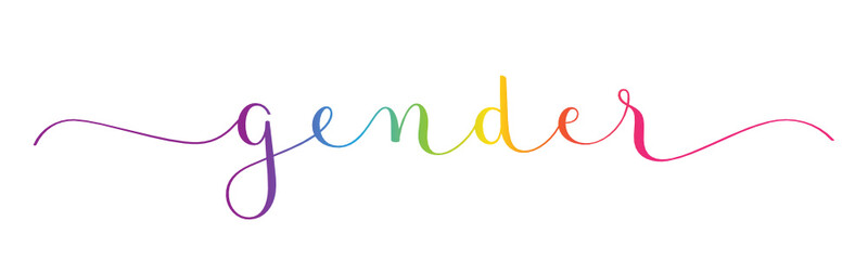 GENDER rainbow gradient vector brush calligraphy banner with swashes on white background