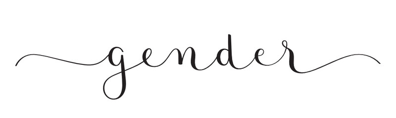 GENDER black vector brush calligraphy banner with swashes on white background