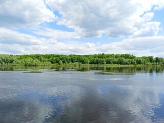 lake in the forest