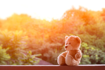 light brown teddy bear whit blur background
