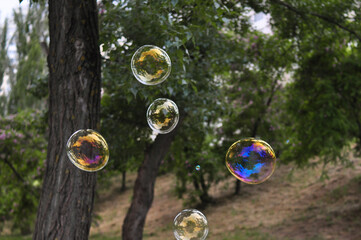Big soap bubbles in the forest in summer copy space, background 