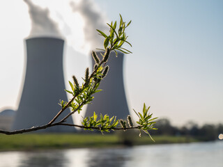 Branch with green leaves  against nuclear power plant.