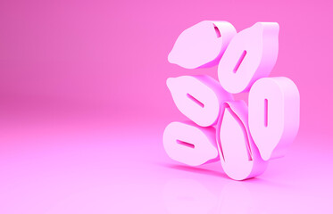 Pink Seeds of a specific plant icon isolated on pink background. Minimalism concept. 3d illustration 3D render