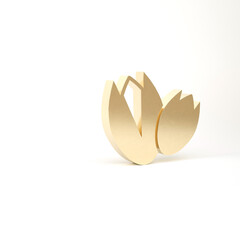 Gold Pistachio nuts icon isolated on white background. 3d illustration 3D render