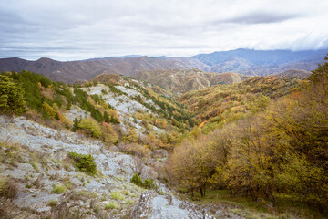 Appennino Tosco-Emiliano - Campigna - Bosco in autunno