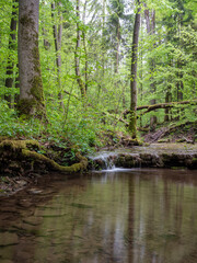 Obraz premium Waterfall on stream in forest in Germany