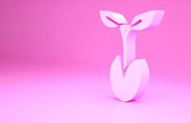Pink Sprout icon isolated on pink background. Seed and seedling. Leaves sign. Leaf nature. Minimalism concept. 3d illustration 3D render