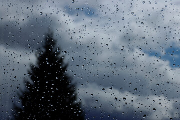 Raindrops on the window pane and the silhouette of a Christmas tree in the window.