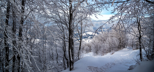 Winter landscape in mountains. Carpathian, Ukraine