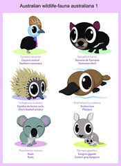 Australian wildlife cartoons, cute wild animals in vector with scientific name, and common name in English and Spanish.