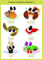 Obraz premium Wild world crustacean cartoons, cute wild animals in vector with scientific name, and common name in English and Spanish.