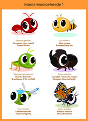Wild world insects cartoons, cute wild animals in vector with scientific name, and common name in English and Spanish.