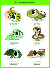 Wild world reptile cartoons, cute wild animals in vector with scientific name, and common name in English and Spanish.