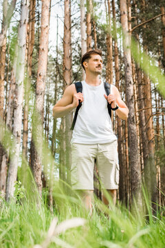 Traveler hiking in the woods. Happy handsome man with a backpack standing in a pine forest and looking to the side. Active lifestyle, travel, hike concept. Vertical photo