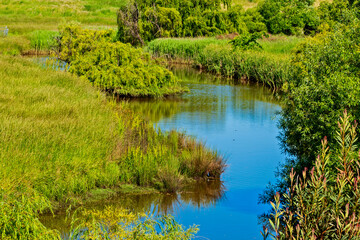 Along the river