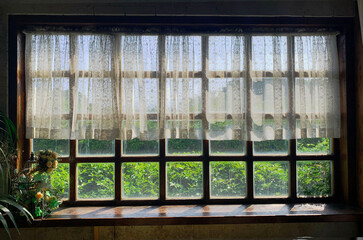 Green serenity seen from the window