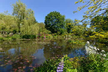 Bassin, Les jardins de Claude Monet, Giverny, Eure, 27, Normandie