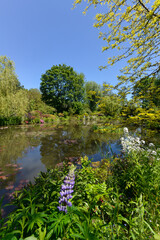 Bassin, Les jardins de Claude Monet, Giverny, Eure, 27, Normandie