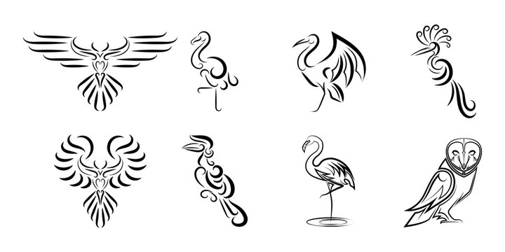 Set of line art vector images of various beautiful birds Good use for symbol mascot icon avatar and logo