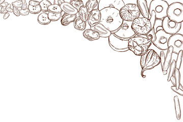 Obraz premium Dried fruits . Vector background.