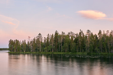a lake in lapland rovaniemi summer finland midnight summer juhannus time in finland suomi lapland metsä järvi in finland taiga forest beautiful  surroundings arctic circle carbon sink co2 green life