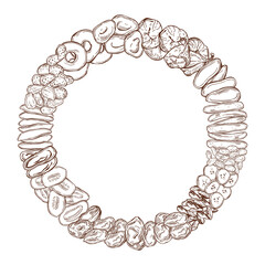 Dried fruits . Vector   frame