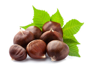 Obraz premium Chestnuts with leaves