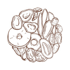 Dried fruits in a circle. Vector   illustration.