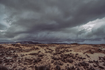 Fototapeta na wymiar Stormy weather in the steppe 