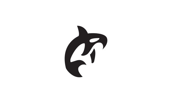 modern cute shape orca whale logo vector icon illustration design