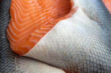 salmon. fresh red fish with grey scales