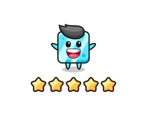 the illustration of customer best rating, ice cube cute character with 5 stars