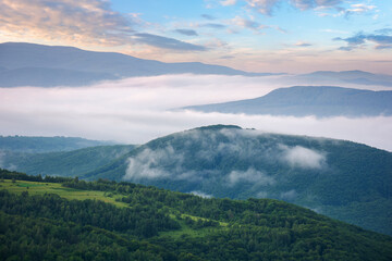 Naklejka premium rural landscape in the morning. mist in the distant valley. trees and fields on the hill in morning light