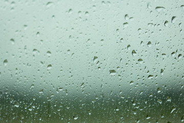 Rain drops on window with green tree in background
